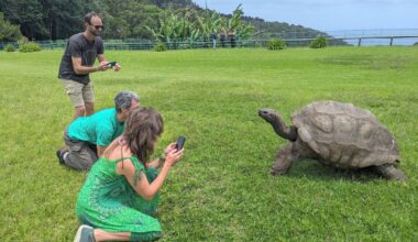 Jonathan, the world’s oldest known tortoise, is still alive despite rumours of his death