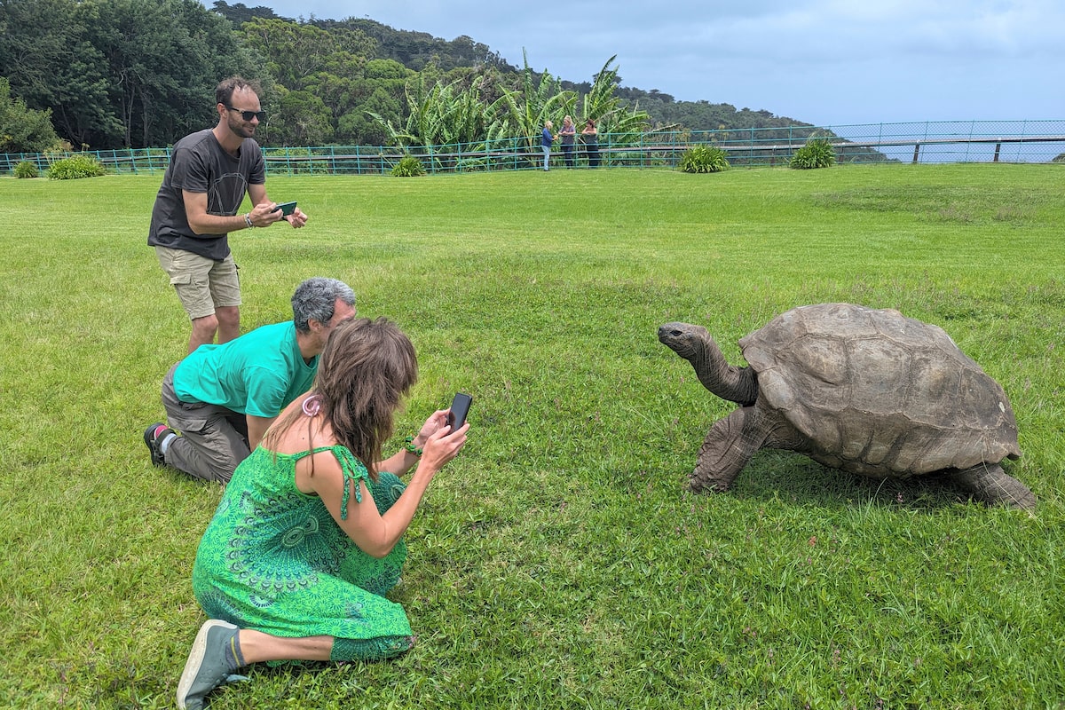 Jonathan, the world’s oldest known tortoise, is still alive despite rumours of his death