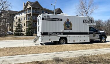 Winnipeg woman killed day after seeking court-ordered protection against alleged killer - CTV News