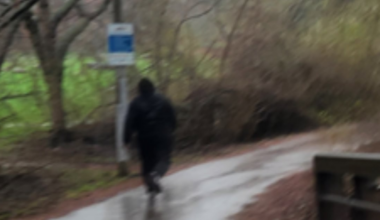 Brampton trail sexual assault: suspect sought