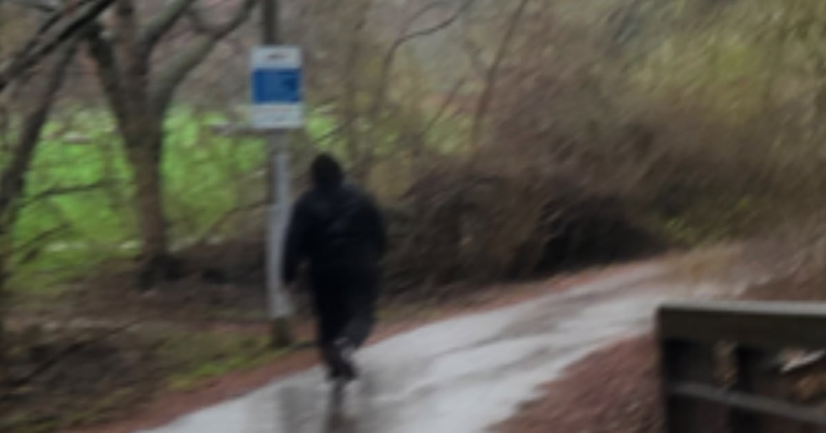 Brampton trail sexual assault: suspect sought
