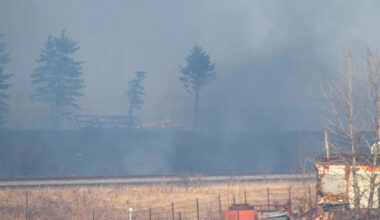 Edmonton pioneering wholistic response to wildfire risks