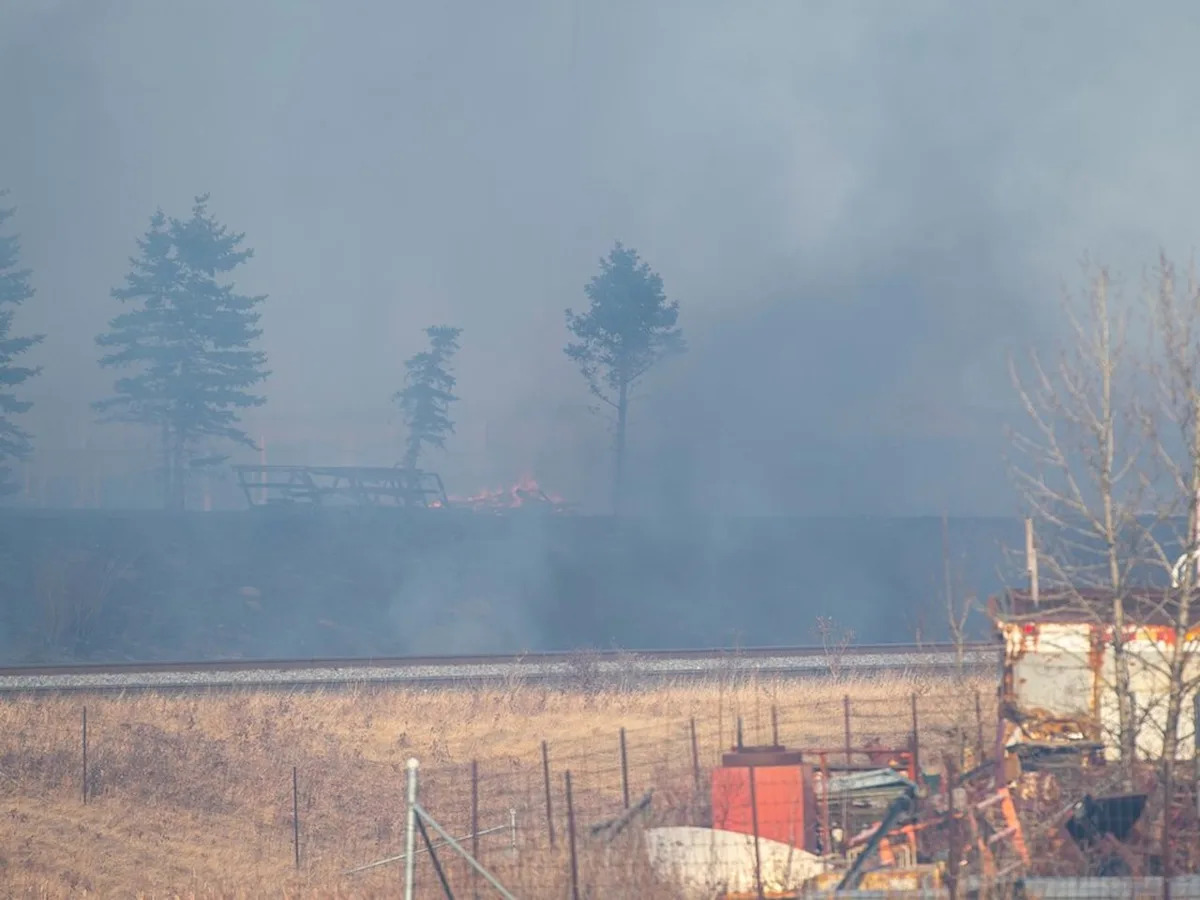 Edmonton pioneering wholistic response to wildfire risks