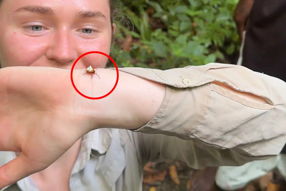 Aussie adventurer 'holds breath' while taking world-first image of rare creature