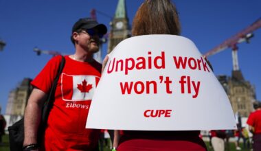 Union claims airlines are 'flying the plane' in Ottawa's unpaid work probe
