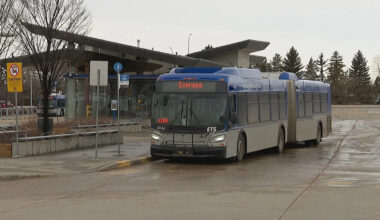 Edmonton bus report card reveals routes that aren't running on time
