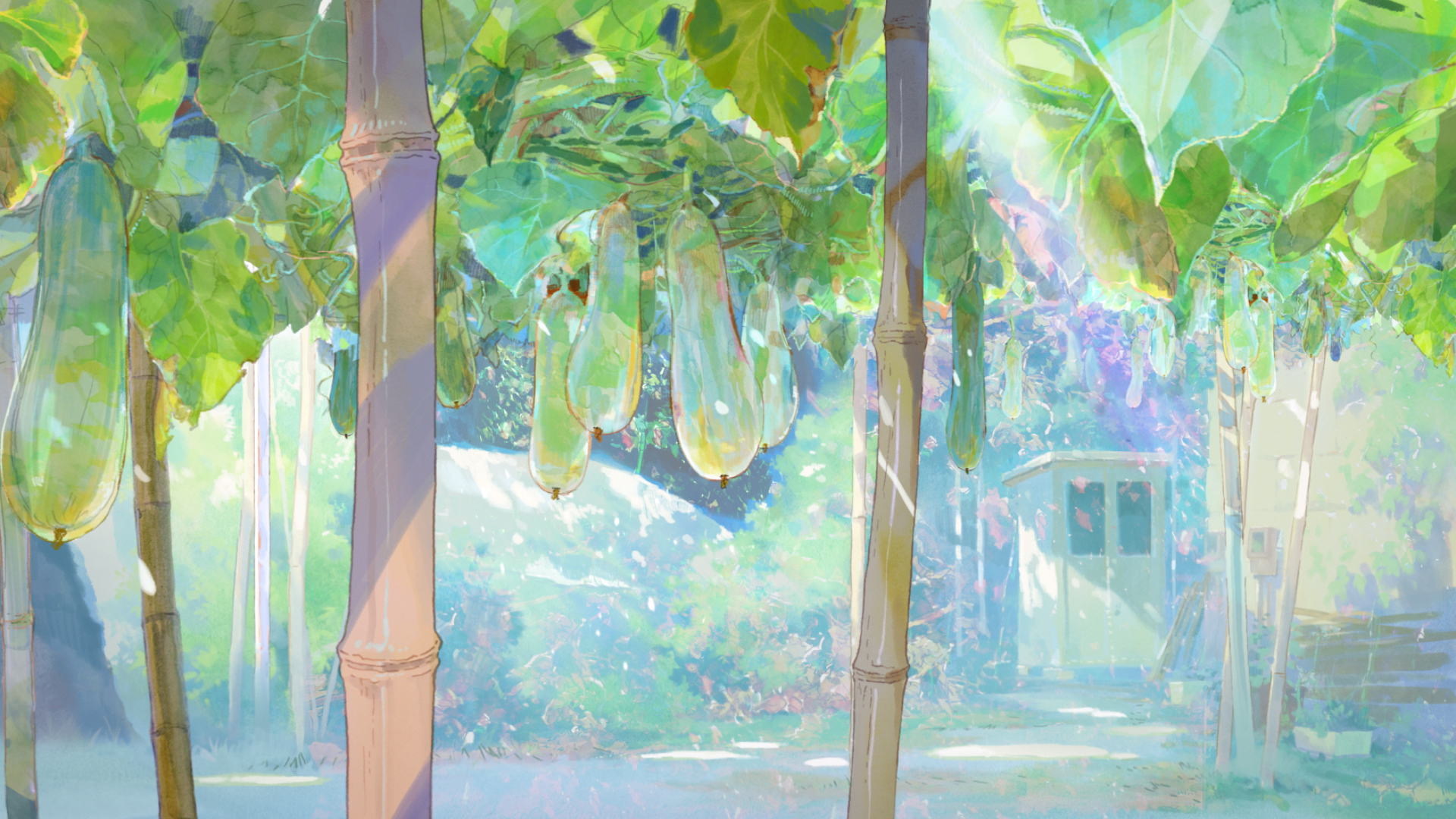 A New Dawn 