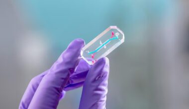 Why NASA sent ‘organ chips’ of the Artemis II crew into space - CTV News