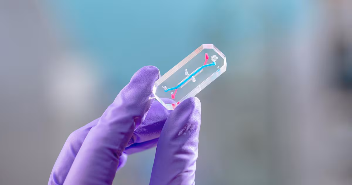 Why NASA sent ‘organ chips’ of the Artemis II crew into space - CTV News