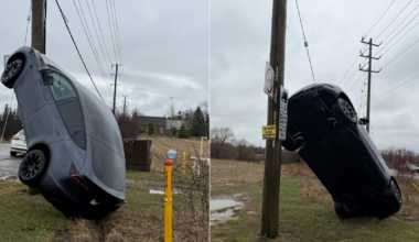 Hamilton crash results in Tesla ending up vertical on utility pole