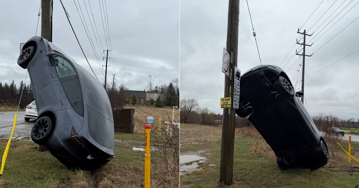 Hamilton crash results in Tesla ending up vertical on utility pole