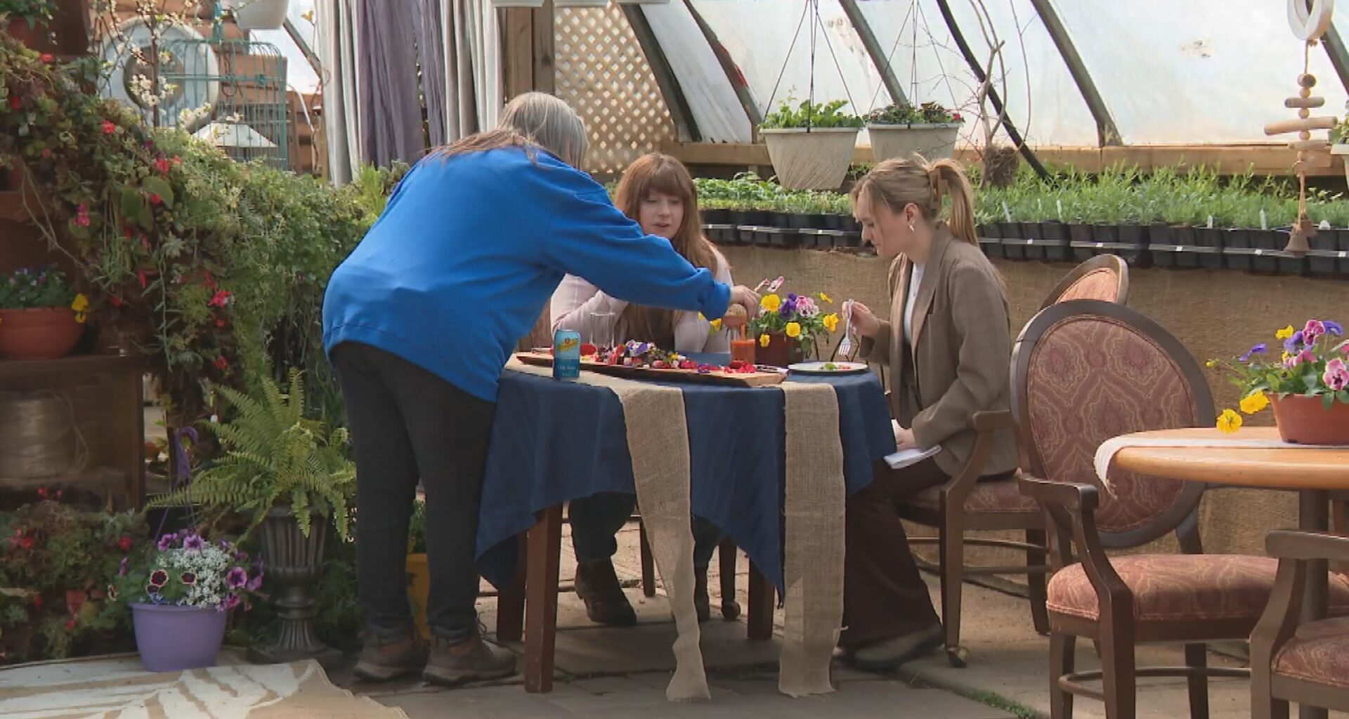 ‘They want to understand’: Agritourism growing across Alberta