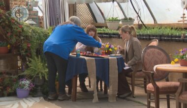 ‘They want to understand’: Agritourism growing across Alberta