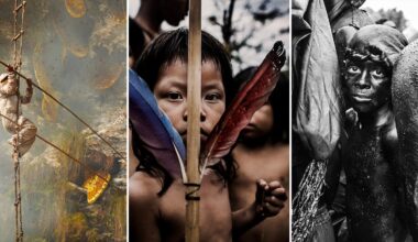 A triptych of photos: left, a person climbs a rope ladder in a misty forest; center, an Indigenous child holds colorful feathers, gazing ahead; right, a person with painted skin stands among a crowd, looking at the camera.