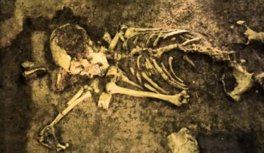 Ancient DNA From Sahara Skeletons Reveals A Lineage No One Expected