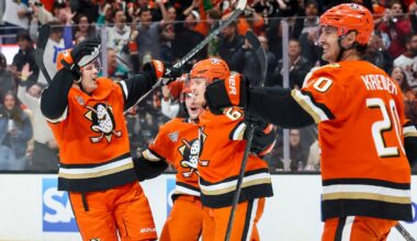 Anaheim Ducks swarm Edmonton Oilers in Game 3 to take 2-1 series lead