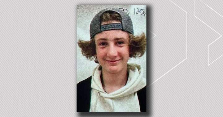 Man who killed St. Albert teen on dog walk sentenced to 14 years for manslaughter - Edmonton