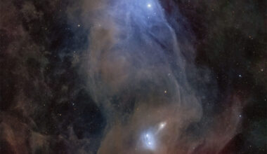A starfield surrounds a large nebula that is mostly brown
and blue and has an appearance reminiscent of the head of a horse.
This nebula is not the more famous Horsehead Nebula. 
Please see the explanation for more detailed information.