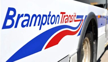 zum brampton bus transit