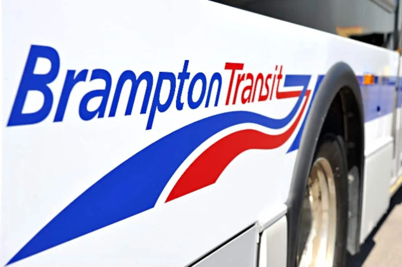 zum brampton bus transit