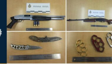gun charges after seizure at mail processing plant in mississauga.