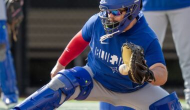 Which Blue Jays players are injured?