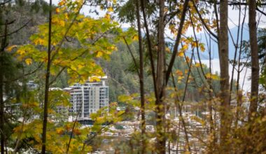 Vancouver’s tony neighbourhoods get a reality check