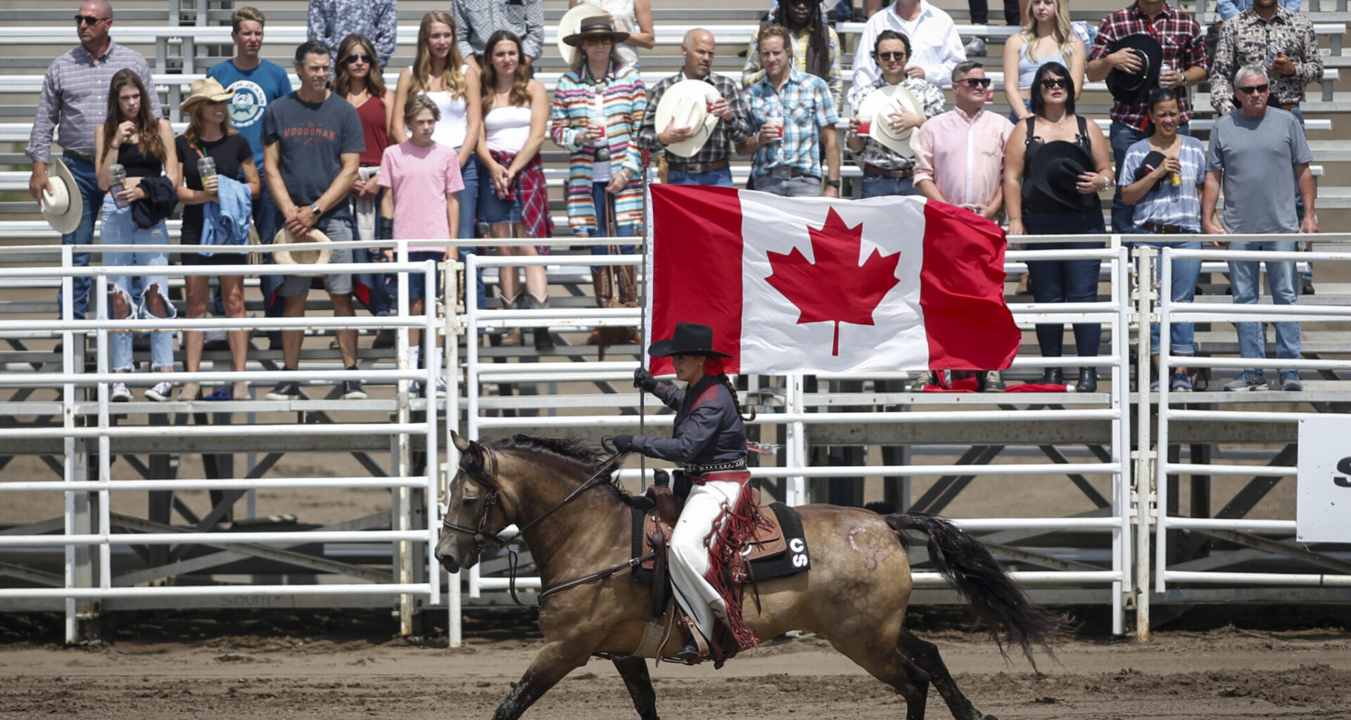 Alberta leads Canada in job growth—here’s what’s driving the province’s success
