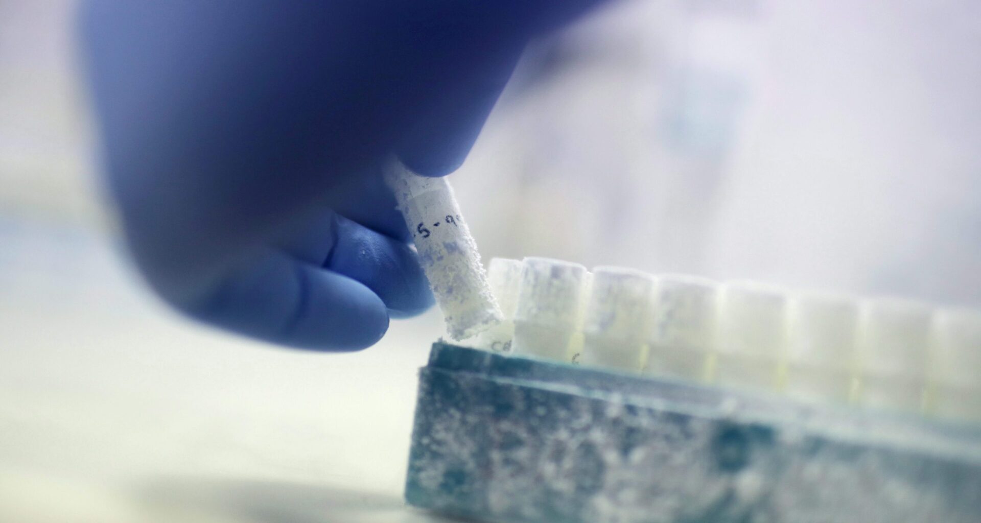 Vancouver doctor hopes Canadian Infertility Awareness Week starts much-needed conversations