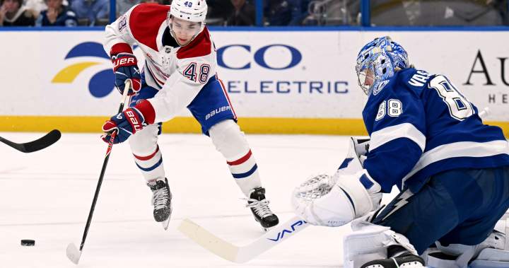 Call of the Wilde: Montreal Canadiens shock Tampa Bay with fiery 4-1 victory - Montreal