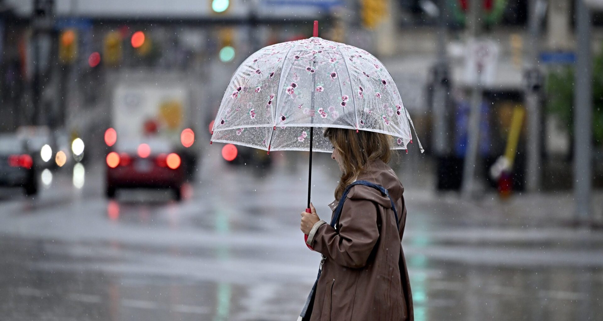 20 to 40 mm rain forecasted across Ottawa Saturday