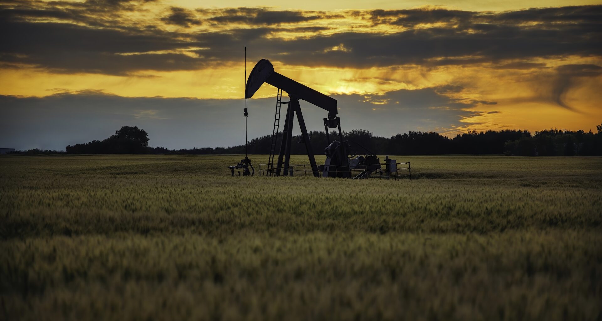 Canadian Job Market Booms In West, Slumps In East, Gap To Widen: BMO