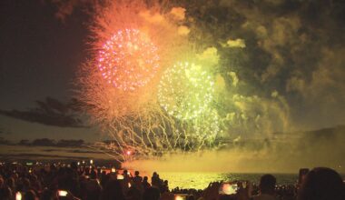 Vancouver Park Board approves one-night firework