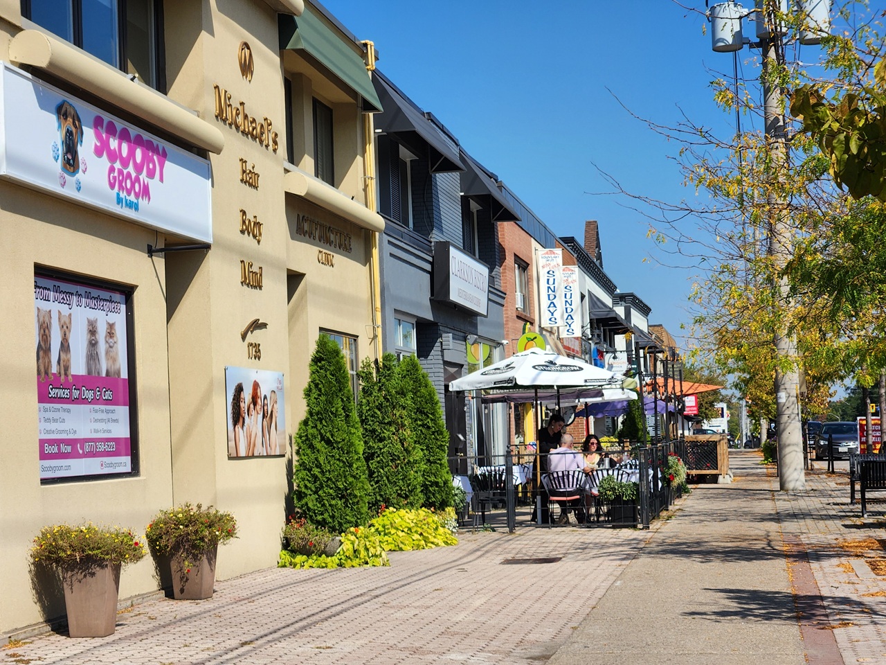 study looks at future of community in mississauga.