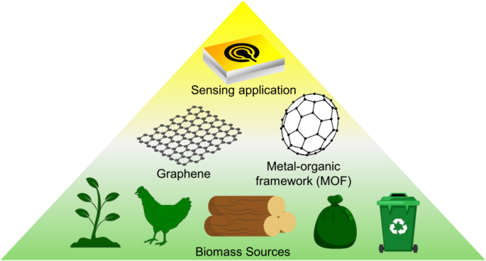UM6P Research Breaks New Ground on Converting Plant Biomass Into Green Graphene – The North Africa Post