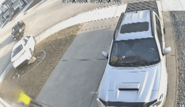 Father, son nearly hit by vehicle outside Calgary home after driver runs stop sign: police - Calgary