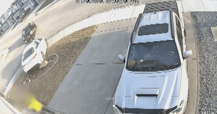 Father, son nearly hit by vehicle outside Calgary home after driver runs stop sign: police - Calgary