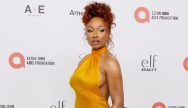 Megan Thee Stallion hospitalized after exiting ‘Moulin Rouge! The Musical’ mid-show - CTV News
