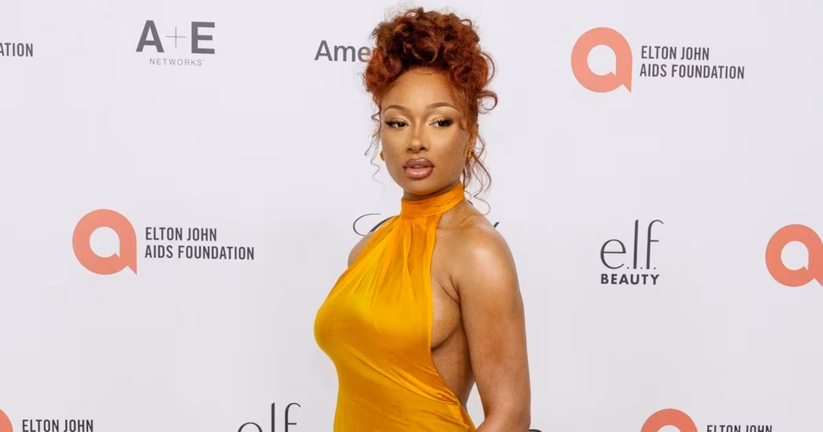 Megan Thee Stallion hospitalized after exiting ‘Moulin Rouge! The Musical’ mid-show - CTV News