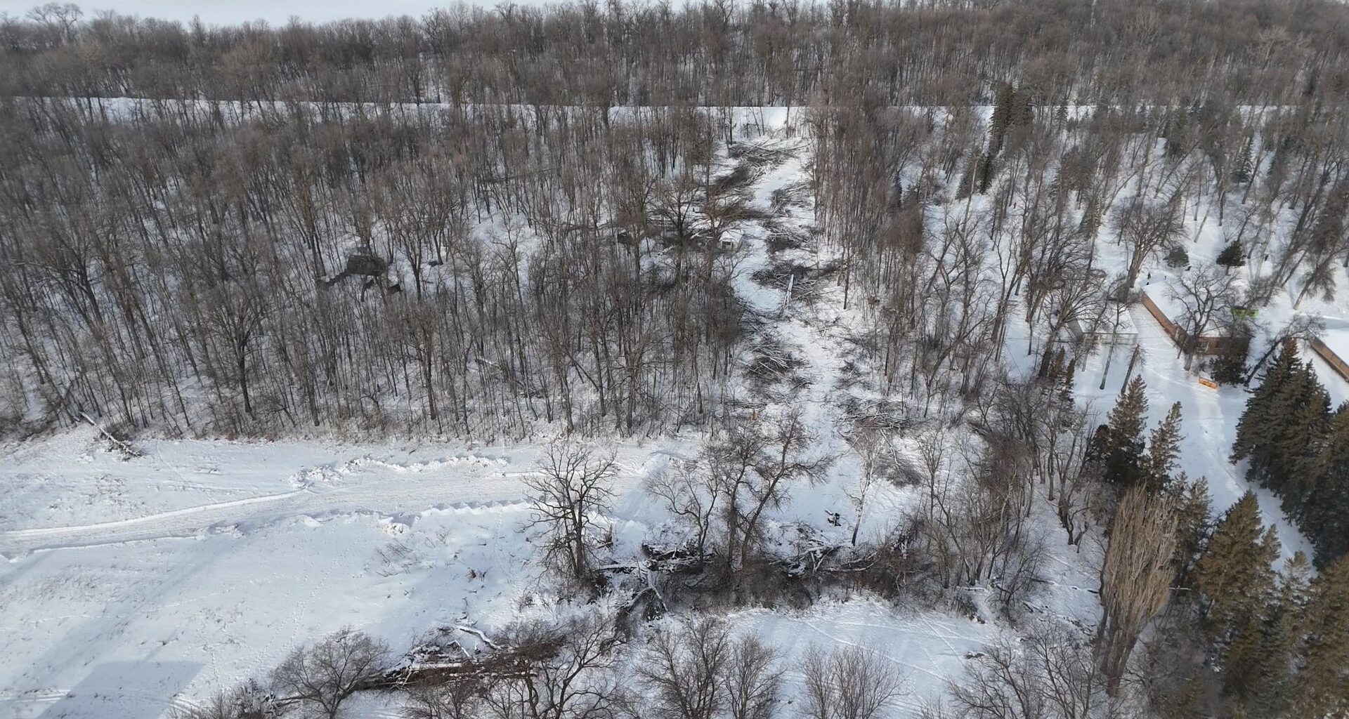 Activist reflects on years of advocacy leading to Lemay Forest expropriation