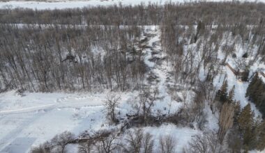 Activist reflects on years of advocacy leading to Lemay Forest expropriation