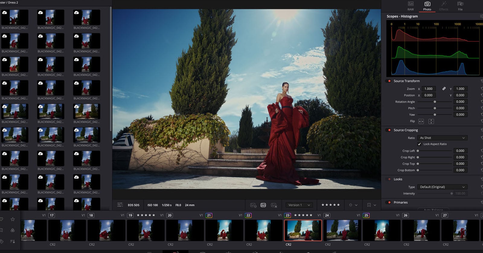 DaVinci Resolve 21 is Now a Lightroom Alternative: RAW Editing, Tethering, Masking, and More - PetaPixel