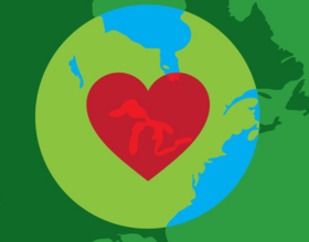 Join Earth Days activities to create a more sustainable Mississauga – City of Mississauga