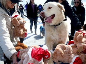 National Service Dogs' Easter Egg Hunt 2026
