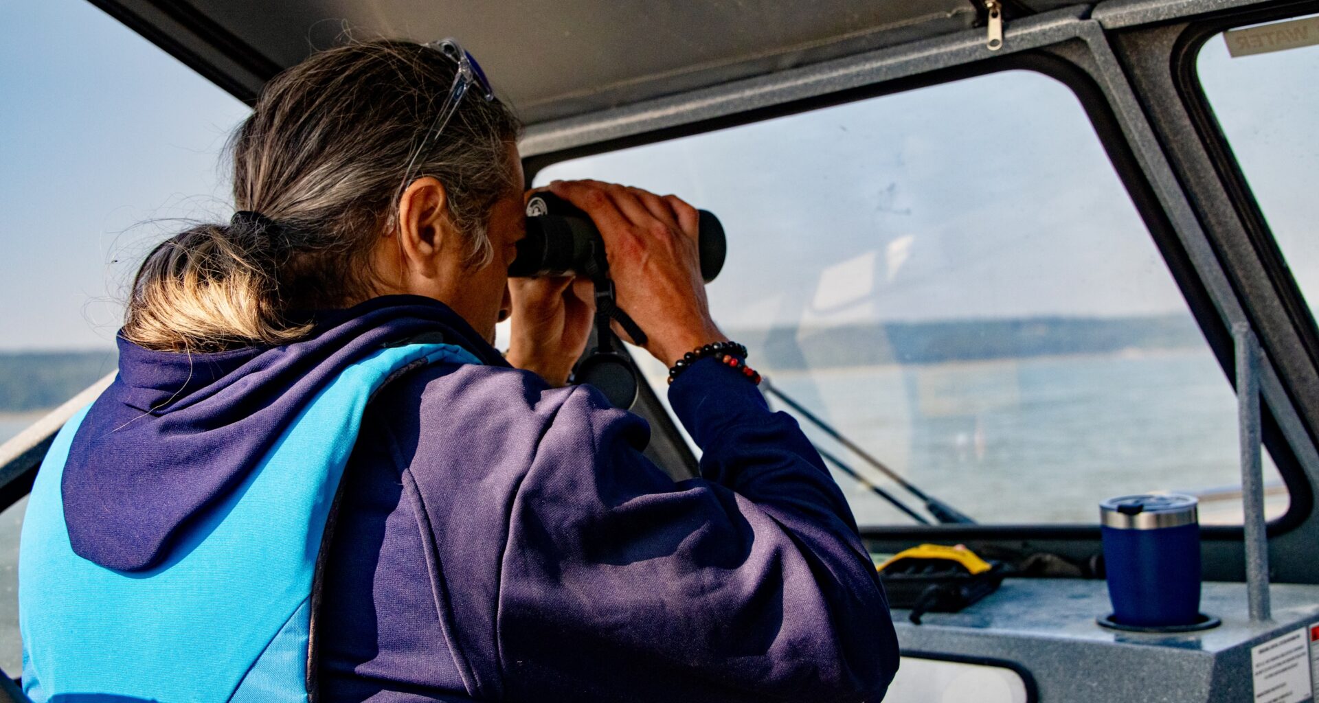 Canada’s new nature strategy adds Arctic Guardians, bison protection