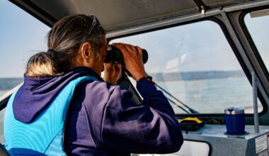 Canada’s new nature strategy adds Arctic Guardians, bison protection