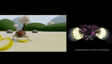 Could This AI-Simulated Brain Lead to Human Mind-Uploading?