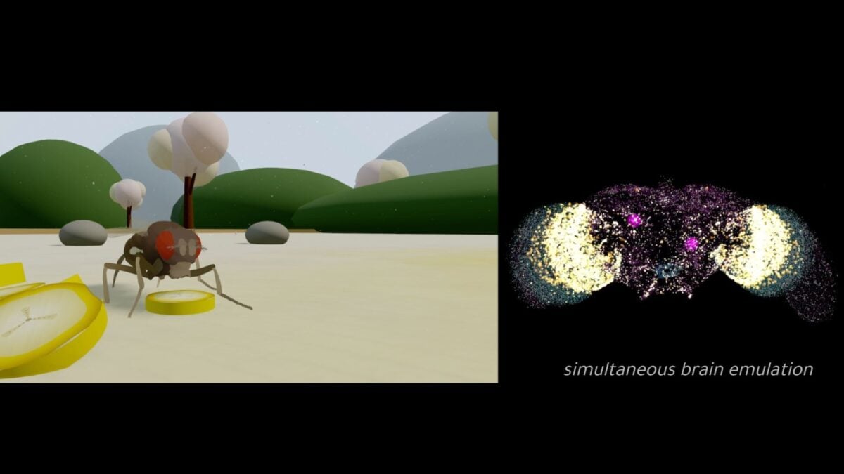 Could This AI-Simulated Brain Lead to Human Mind-Uploading?