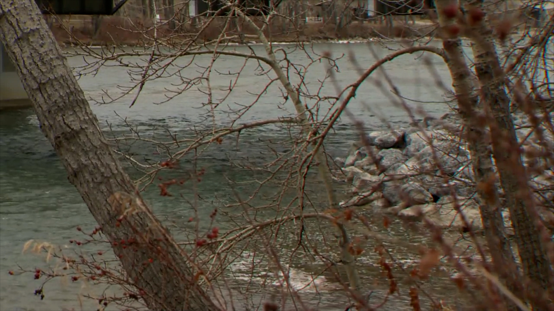 Click to play video: 'Calgary committee punts development regulations in flood-prone areas'