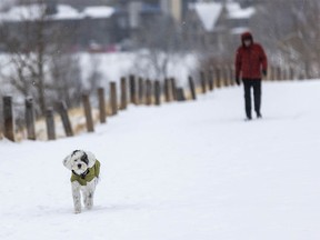 Out in the early April snow